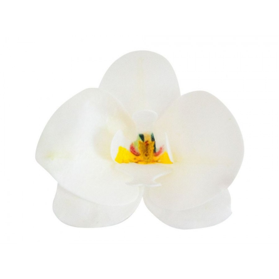 Vafeļu orhideja balta 8,5 x 7,5 x 1 cm