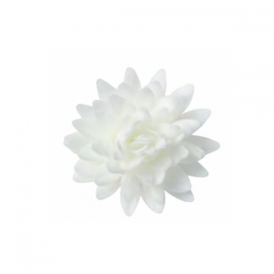 Vafeļu asteres baltas 5,5 cm